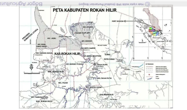 Gambar 2  Peta lokasi penelitian di Kabupaten Rokan Hilir (daerah berarsir) 