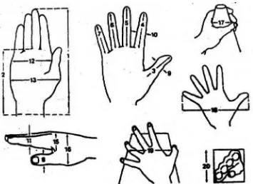 Gambar 2.2 Athropometri Tangan (Sumber Data : Eko Nurmianto 2004) 