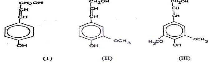 Gambar 2.1 (I) p-komaril alkohol,(II) koniferil alkohol dan (III) sinapil alkohol 