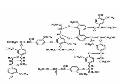 Gambar 2. Struktur lignin 