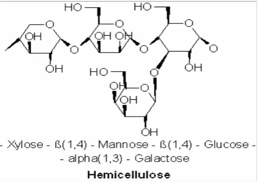 Gambar 5.Strukture Hemiselullosa 