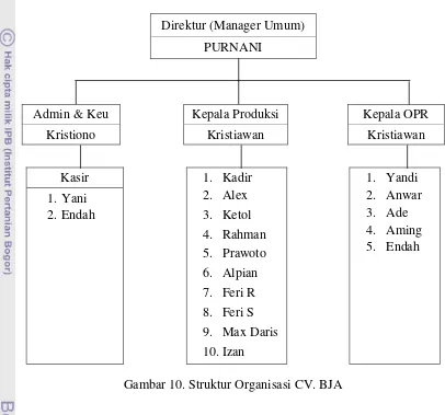 Gambar 10. Struktur Organisasi CV. BJA 