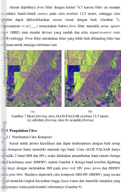 Gambar 7 Hasil filtering citra ALOS PALSAR resolusi 12,5 meter; 