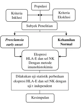 Gambar 3.1 : Alur Penelitian 
