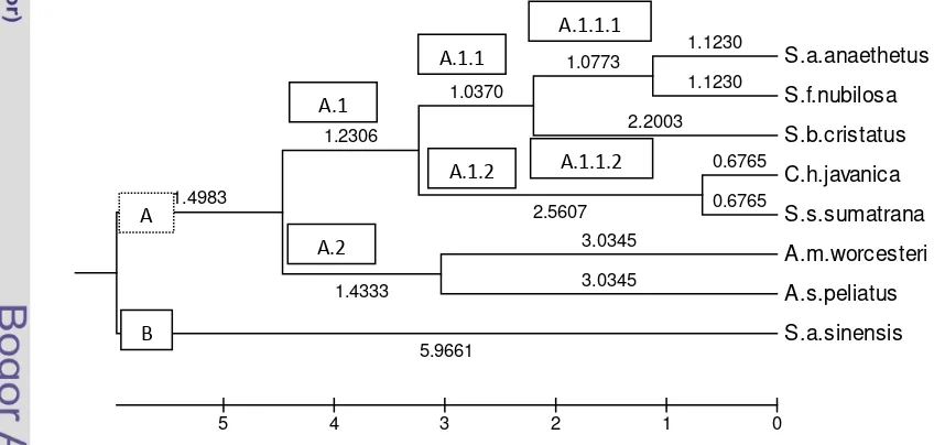 Tabel 10.  Rekapitulasi Hasil Akar dari D2-Mahalanobis pada Delapan Subspesies Burung dara laut yang Diamati 