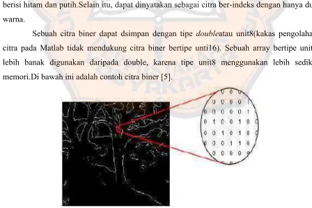 Gambar 2.3. Contoh Citra RGB Bertipe  Double[2] 