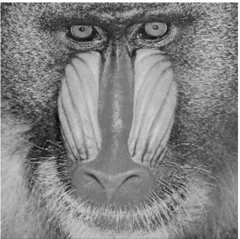 Gambar B.4 (c) citra hasil penyembunyian error ’baboon.tif (512 x 512 piksel)’ 