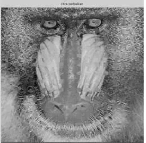 Gambar B.4 (e) citra rusak ’baboon.tif (256 x 256 piksel)’ 