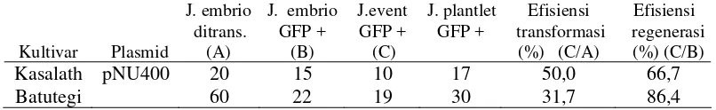 Tabel 4.  Efisiensi transformasi menggunakan metode C dengan plasmid pUR224 (Hiei dan Komari, 2006)  