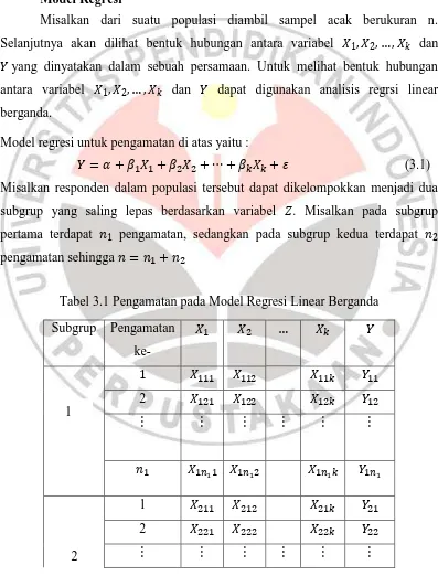 Tabel 3.1 Pengamatan pada Model Regresi Linear Berganda 