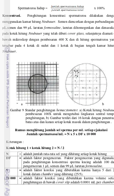 Gambar 9 Standar penghitungan hemacytometer. a) Kotak hitung Neubauer pembesaran 100X untuk mengetahui lingkaran sentral tempat penghitungan, b) Gambar terdiri dari 16 kotak dengan penentuan batas atas dan kanan setiap kotak masuk dalam penghitungan 