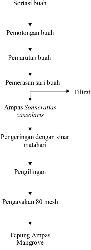 Gambar 2. Diagram alir pembuatan tepung ampas mangrove Sonneratia caseolaris    (Anonim, 2010)            
