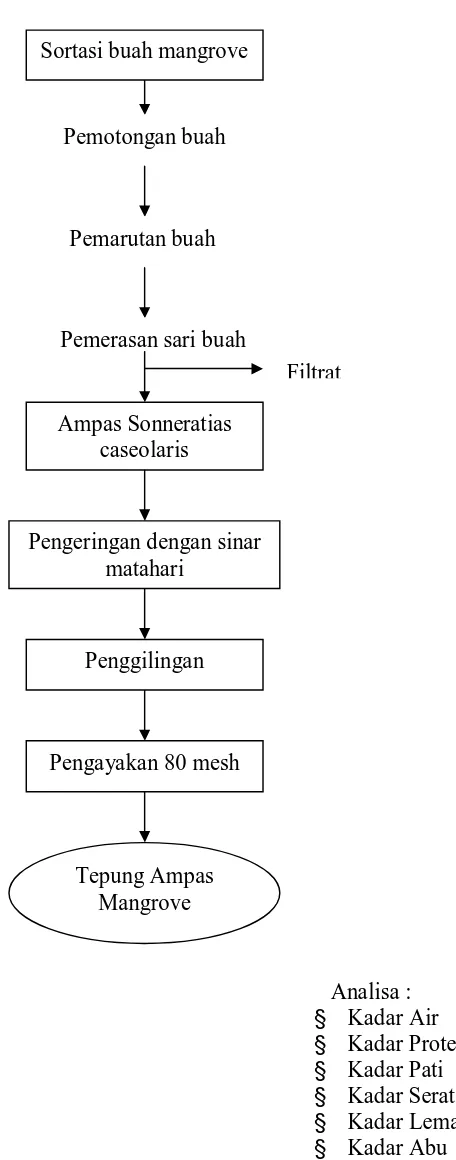 Gambar 4. Diagram alir pembuatan tepung ampas mangrove Sonneratia caseolaris              
