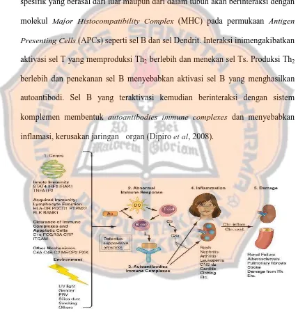 Gambar 4. Patofisiologi Systemic Lupus Erythematosus (SLE)(Dipiro et al, 