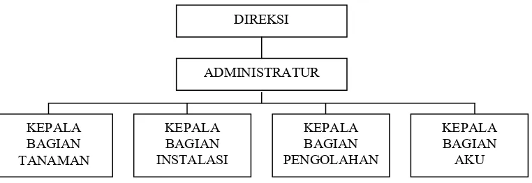 Gambar 3.1. Struktur Organisasi PG Tasikmadu 