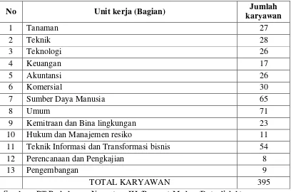Tabel 3.3 Jumlah Karyawan Kantor Direksi PT Perkebunan Nusantara III 