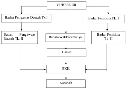 Gambar 3.1. Struktur Organisasi Umum BKK 