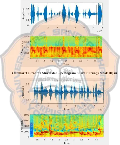 Gambar 3.2 Contoh Sinyal dan Spectogram Suara Burung Cucak Hijau 