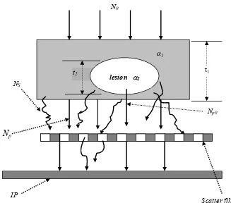 Gambar 2.9. Sketsa transmisi intensitas primer dan intensitas hambur yang melalui obyek