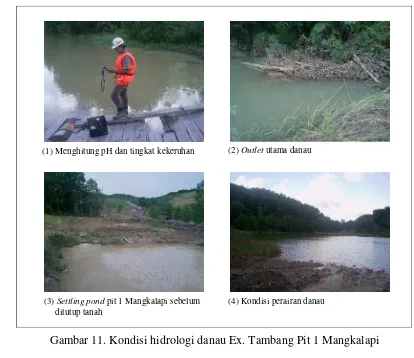 Gambar 11. Kondisi hidrologi danau Ex. Tambang Pit 1 Mangkalapi 