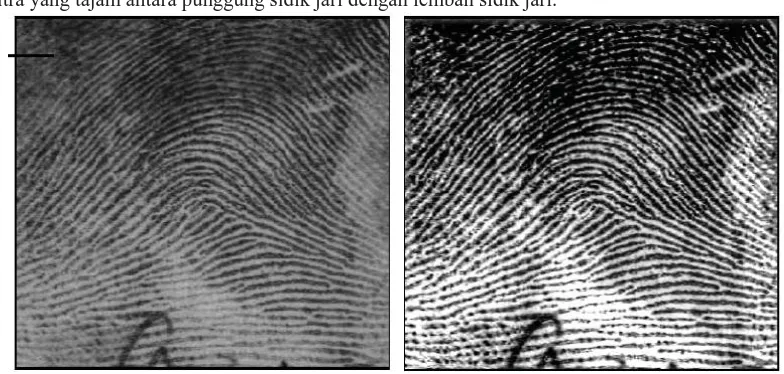 Gambar 1. Perbandingan tampilan citra sidik jari sebelum proses dan setelah proses image enhancement 