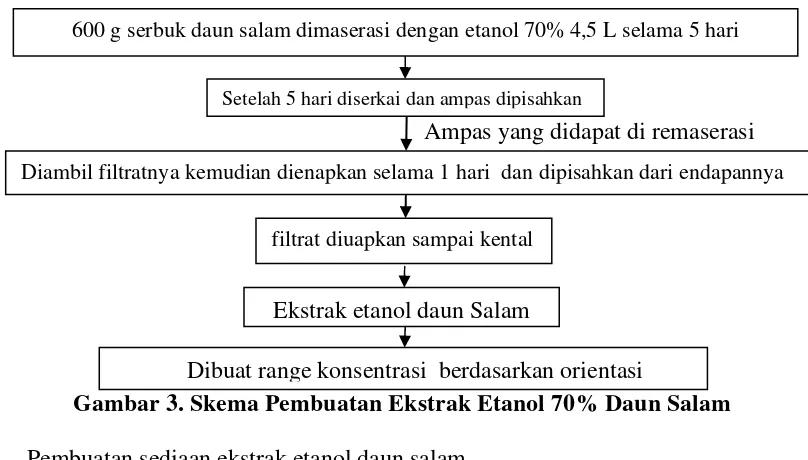 Gambar 3. Skema Pembuatan Ekstrak Etanol 70% Daun Salam 