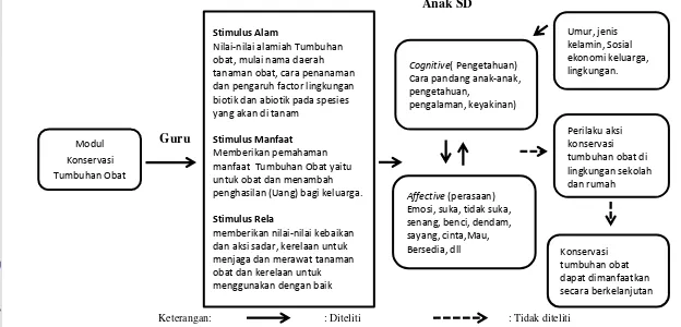 Gambar 1  Diagram Alir kerangka berpikir Tri-Stimulus AMAR pro-Konservasi” : Stimulus, sikap, dan prilaku aksi konservasi Tumbuhan Obat