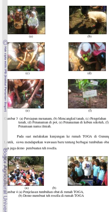 Gambar 3  (a) Persiapan menanam, (b) Mencangkul tanah, (c) Pengolahan 