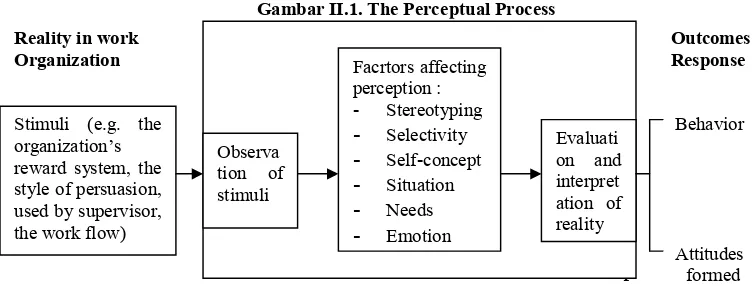 Gambar II.1. The Perceptual Process