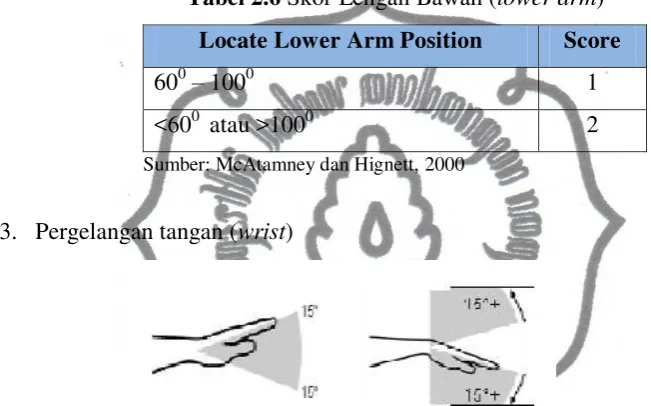 Tabel 2.6 Skor Lengan Bawah (lower arm) 
