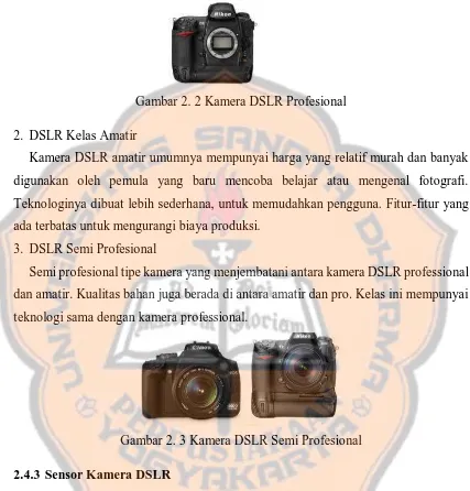 Gambar 2. 2 Kamera DSLR Profesional 