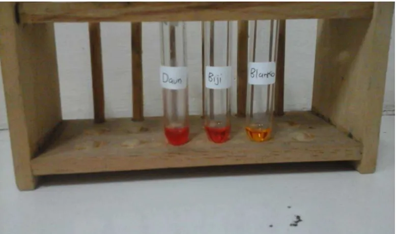Gambar 13. Hasil Reaksi Besi + NH4CNS menghasilkan larutan berwarna merah  
