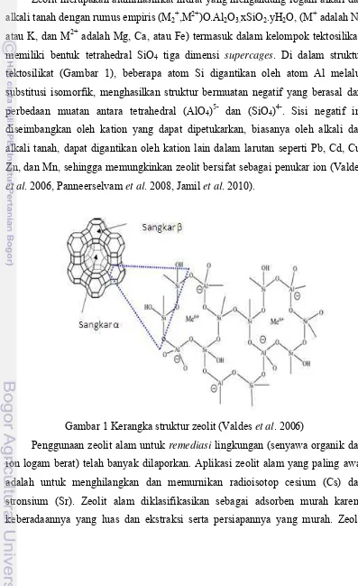 Gambar 1 Kerangka struktur zeolit (Valdes et al. 2006) 