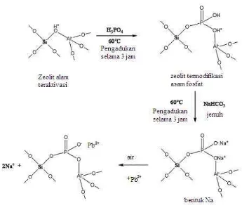 Gambar 4 Skema reaksi modifikasi zeolit PNa2 (Panneerselvam et al. 2008)