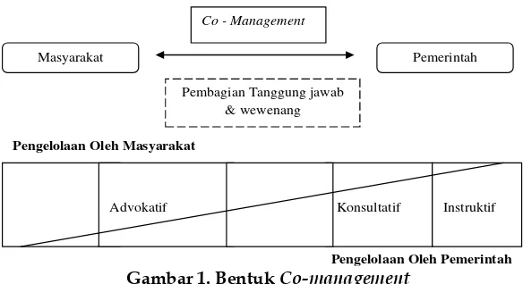 Gambar 1. Bentuk Co-management 