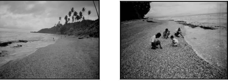 Gambar 1.1 Batu api di sekitar pesisir pantai Masohi-Maluku Tengah 