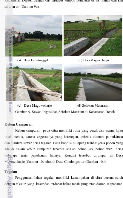 Gambar  9. Sawah Irigasi dan Selokan Mataram di Kecamatan Depok 