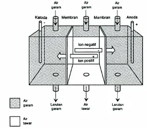 Gambar 2. Sel elektrodialisis (Wagner, 1971) 