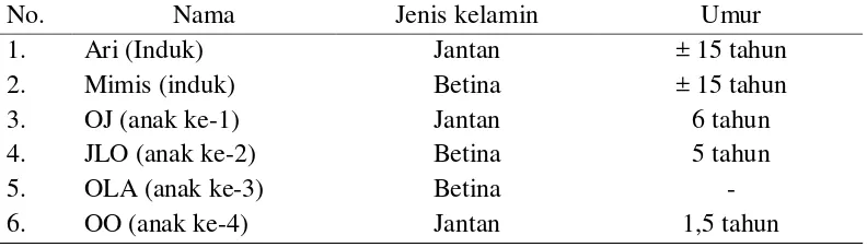 Tabel 8.   Nama, jenis kelamin dan umur Owa Jawa di Pusat Studi Satwa Primata (PSSP) 