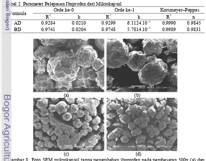 Gambar 8  Foto SEM mikrokapsul tanpa penambahan ibuprofen pada pembesaran 500x (a) dan 150x (c) dan dengan penambahan ibuprofen pada perbesaran 500x (b) dan 150x (d)