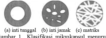 Gambar 1  Klasifikasi mikrokapsul menurut 