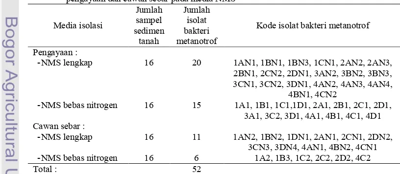 Tabel 1 Hasil isolasi bakeri metanotrof dari sedimen sawah di daerah Sragen dengan metode pengayaan dan cawan sebar pada media NMS 
