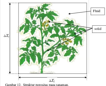 Gambar 12.  Struktur porositas pada tanaman. 
