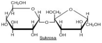 Gambar II.7 Struktur kimia Sukrosa 