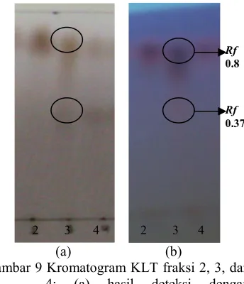 Gambar 9 Kromatogram KLT fraksi 2, 3, dan 4; (a) hasil deteksi dengan penampak noda, (b) hasil deteksi spot pada sinar UV 254 nm