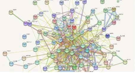 Gambar 2. Interaksi Protein-Protein Target Senyawa Flavan-3-ol Sumber: http://string-db.org/cgi/network.pl?taskId=bM9N7vI3yEan 
