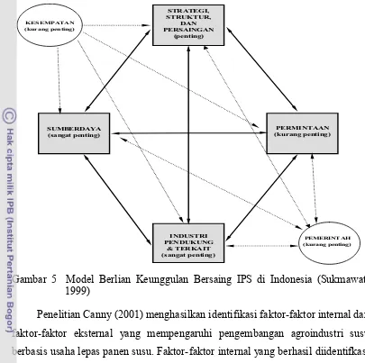 Gambar 5  Model Berlian Keunggulan Bersaing IPS di Indonesia (Sukmawati 