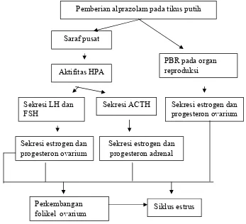 Gambar 2. Kerangka Pemikiran