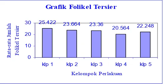 Grafik Folikel Tersier