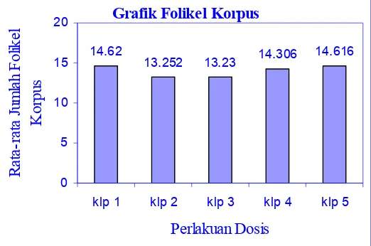 Grafik Folikel Korpus